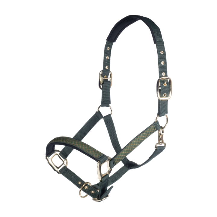 Licol nylon basil hkm