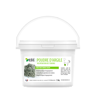 Poudre d-argile 1 kg