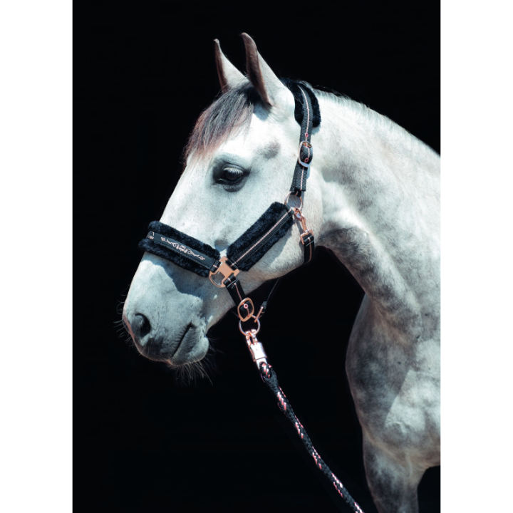 Licol rosegold