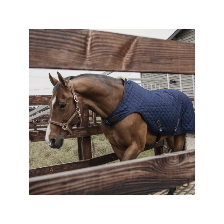 Couverture de marcheur 160g