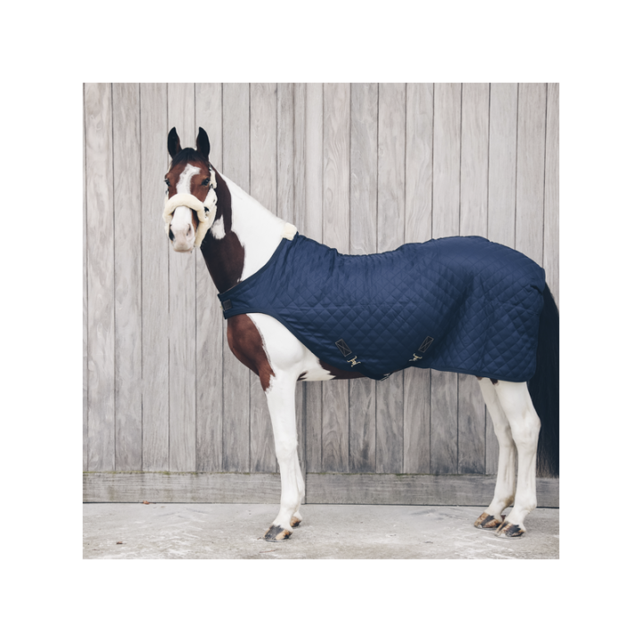 Couverture de marcheur 160g