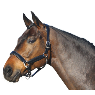 Licol cuir british line