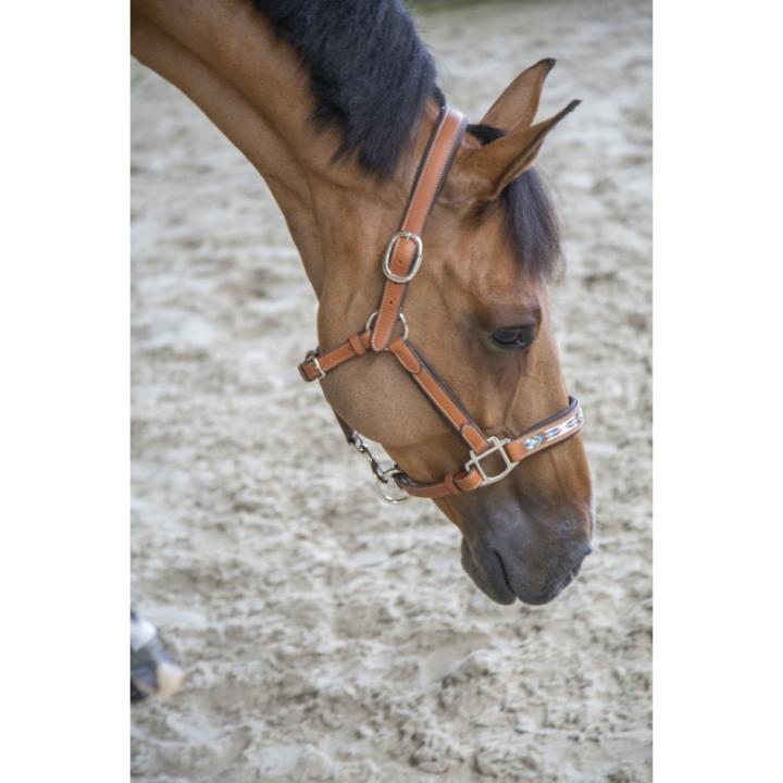 Licol cuir penelope pearl