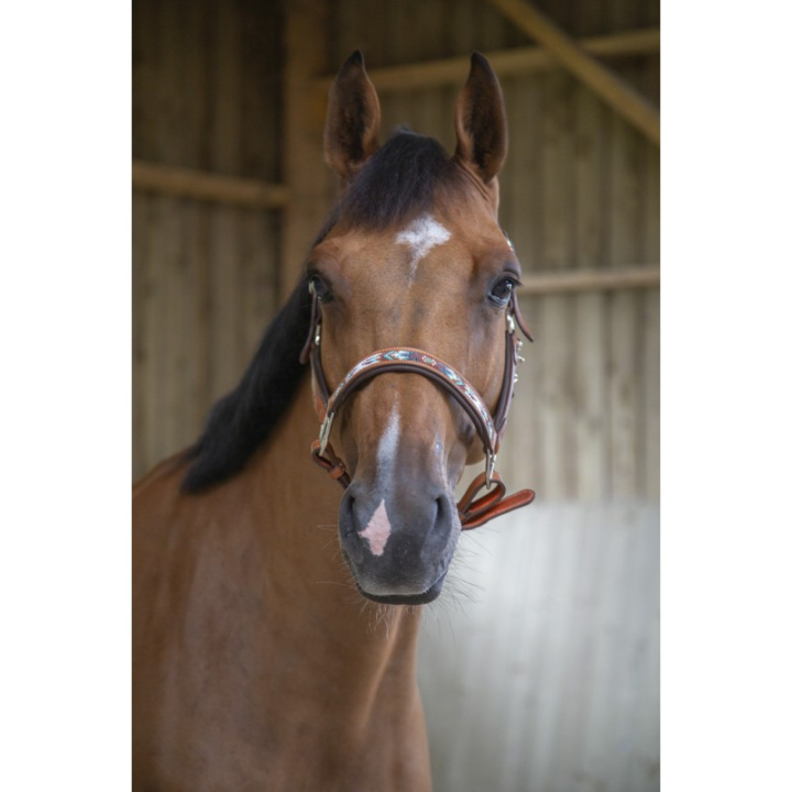 Licol cuir penelope pearl