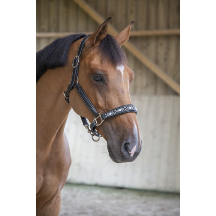 Licol cuir penelope pearl