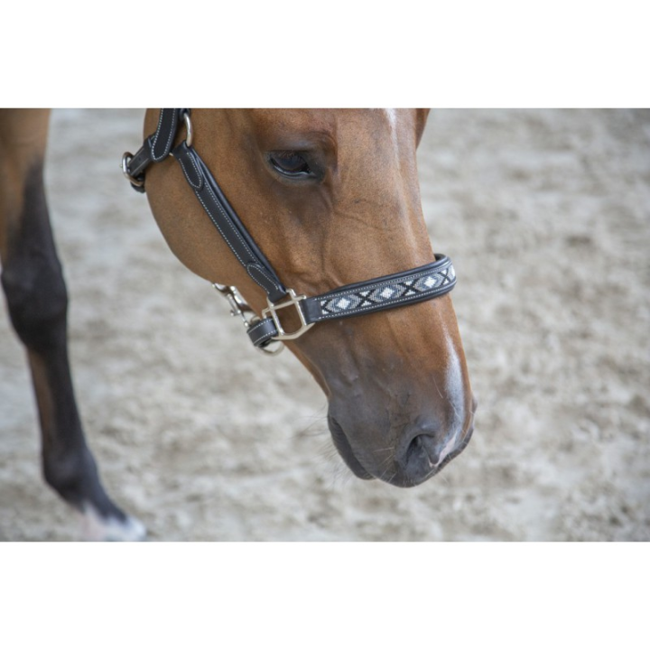 Licol cuir penelope pearl