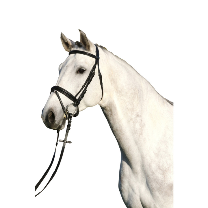 Bridon paris combine