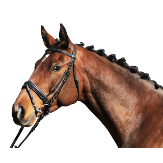 Bridon paris pull back