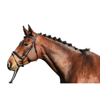 Bridon lyon euro club