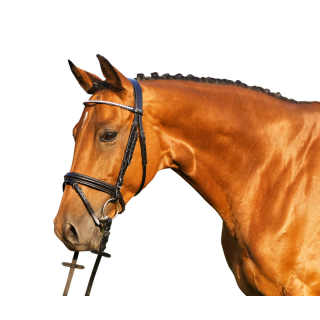 Bridon royan diam's euro club