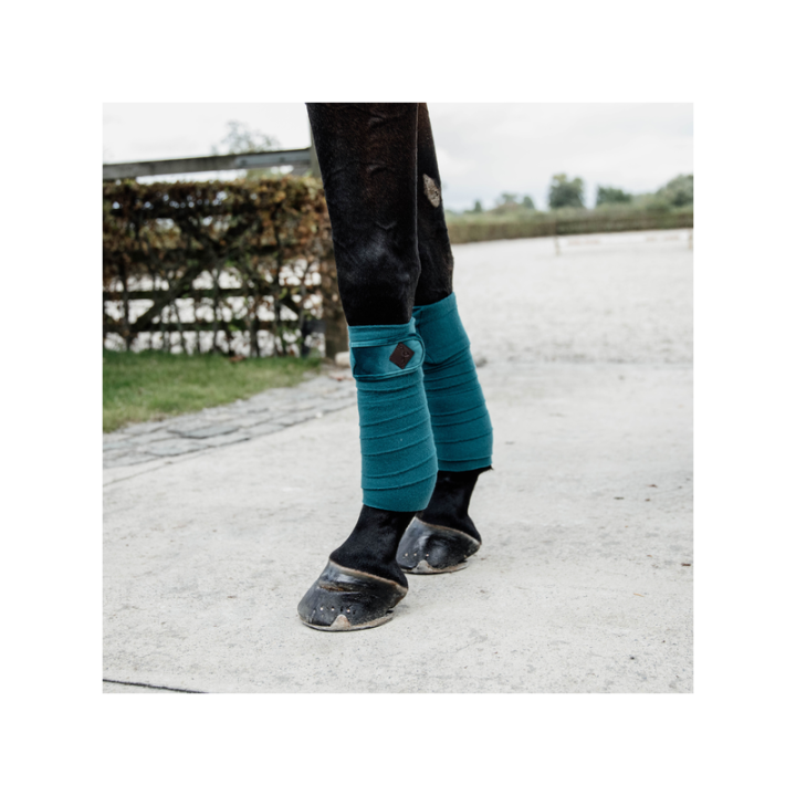 Bande de polo velvet