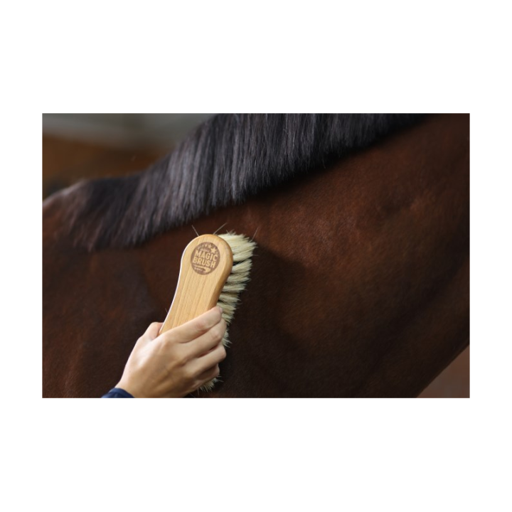 Brosse combinee magicbrush