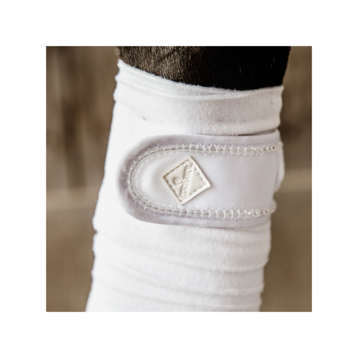 Bande de polo kentucky pearls