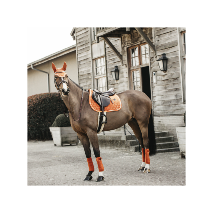 Bande de polo velvet