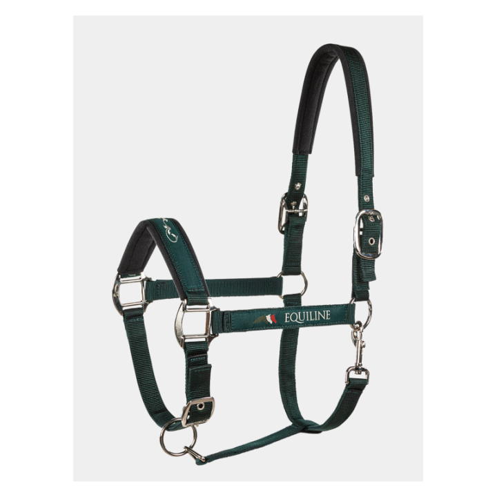 Licol equiline timmy