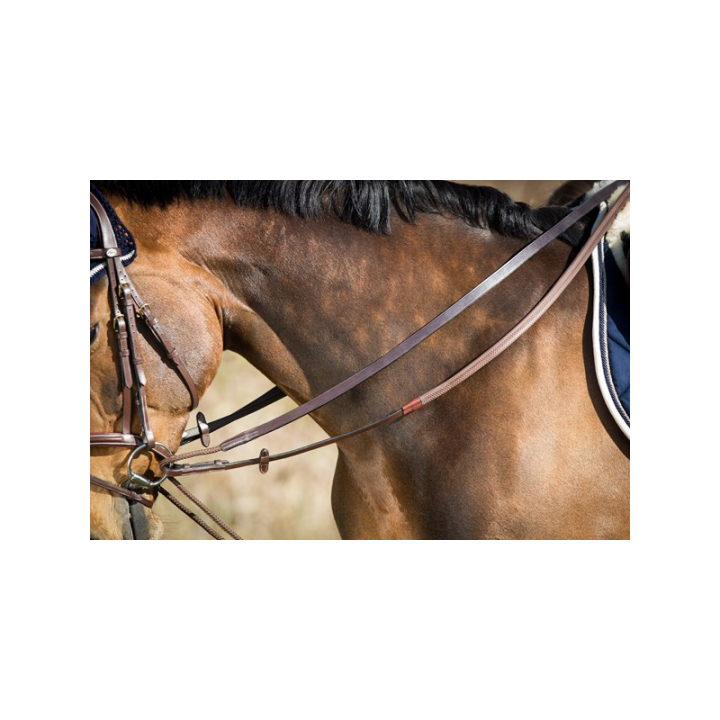 Renes allem.cuir/corde poney brun