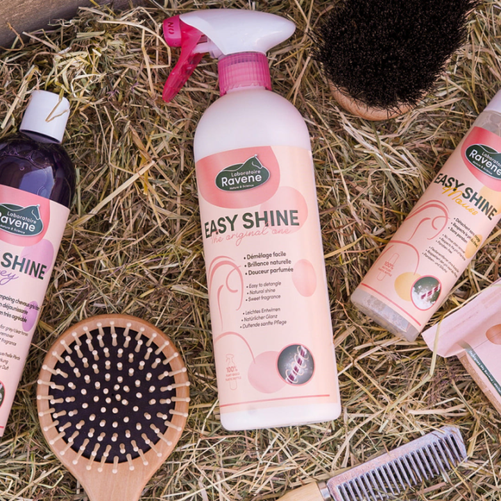 Ravene easy shine spray 750ml