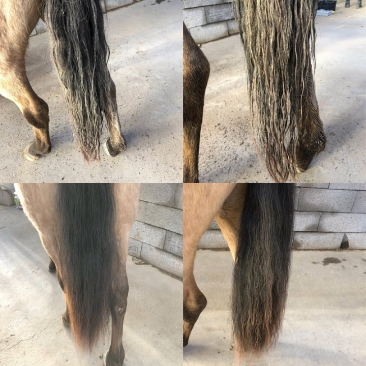 Ravene easy shine spray 750ml