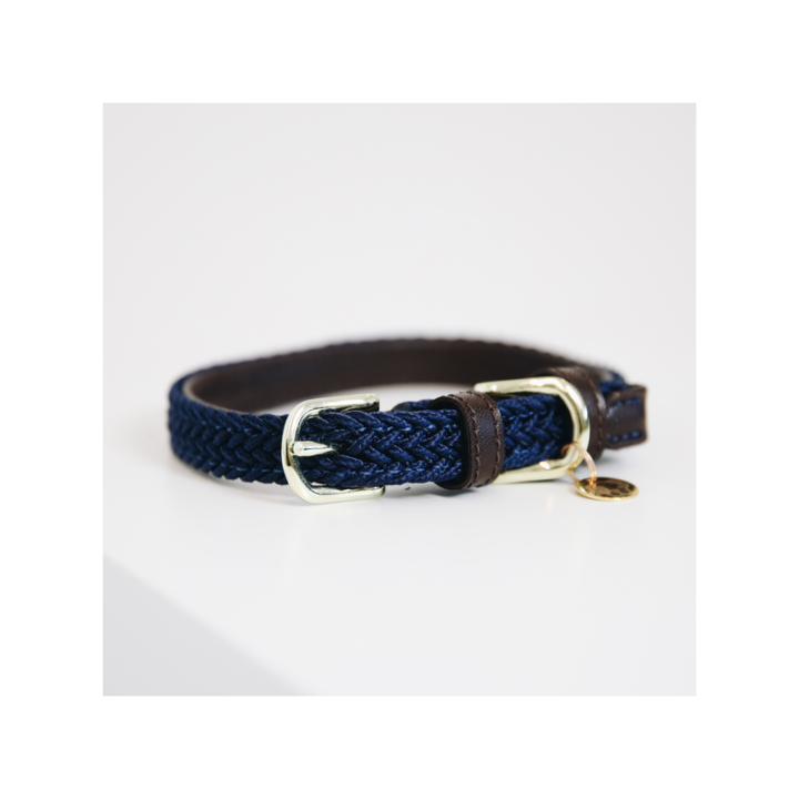 Collier de chien nylon tresse