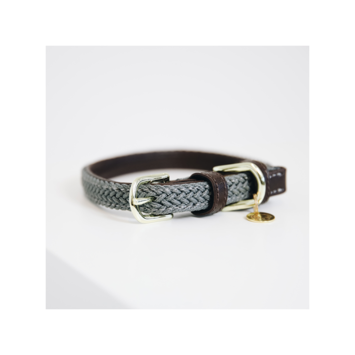 Collier de chien nylon tresse