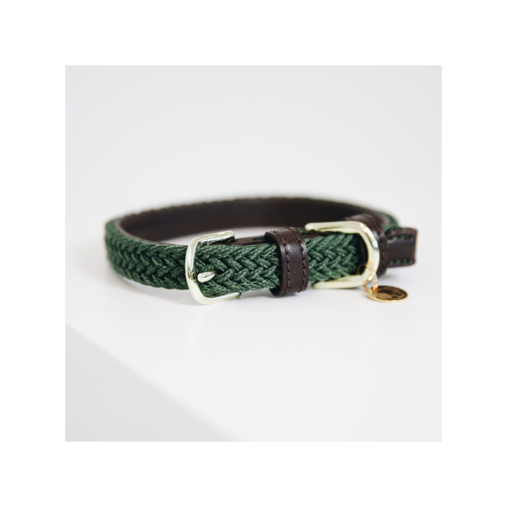 Collier de chien nylon tresse
