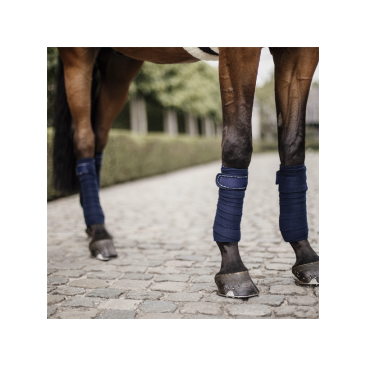 Bande de polo kentucky pearls