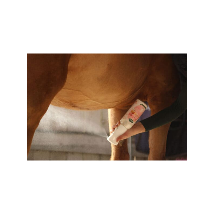 Easy shine intense 500ml