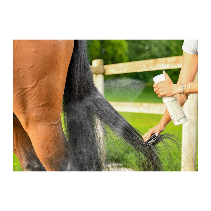 Easy shine intense 500ml