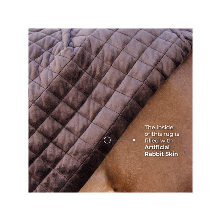 Couv. kentuky ecurie 400gr