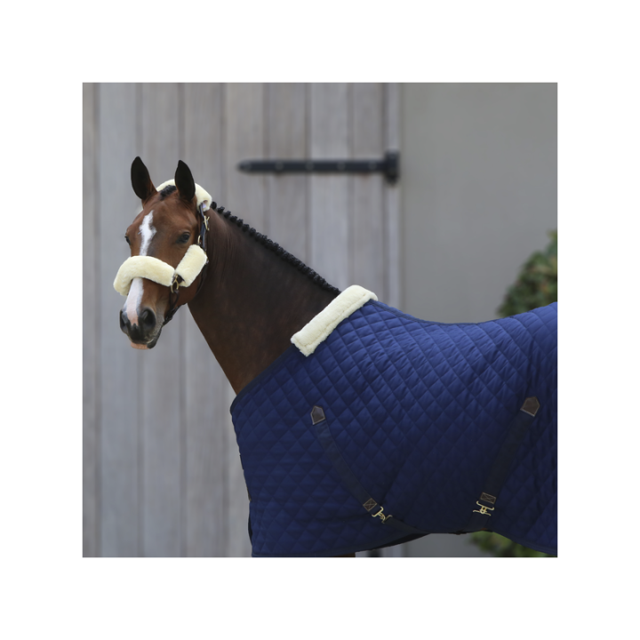 Couv. kentuky ecurie 400gr