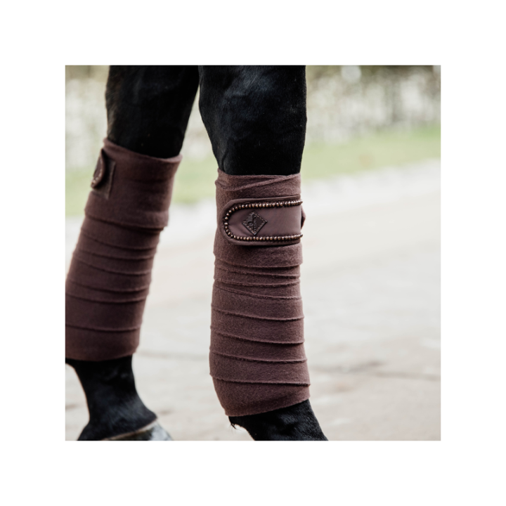 Bande de polo kentucky pearls