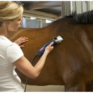 Tondeuse heiniger xperience 2