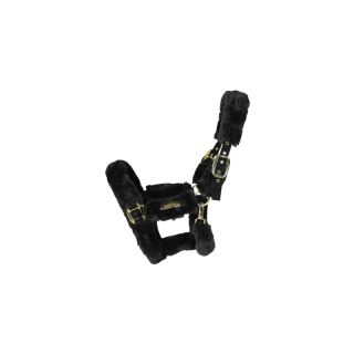 Licol transport mouton kentucky