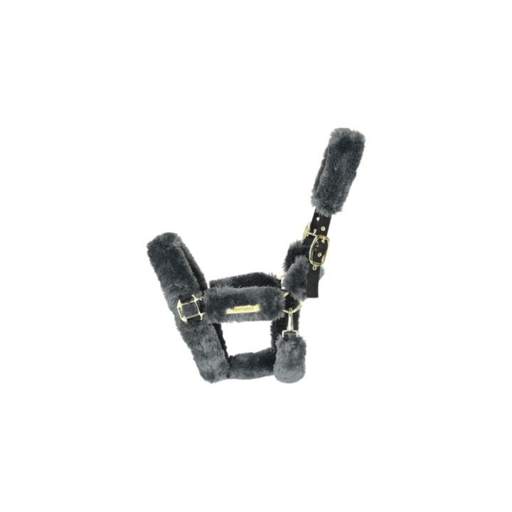 Licol transport mouton kentucky