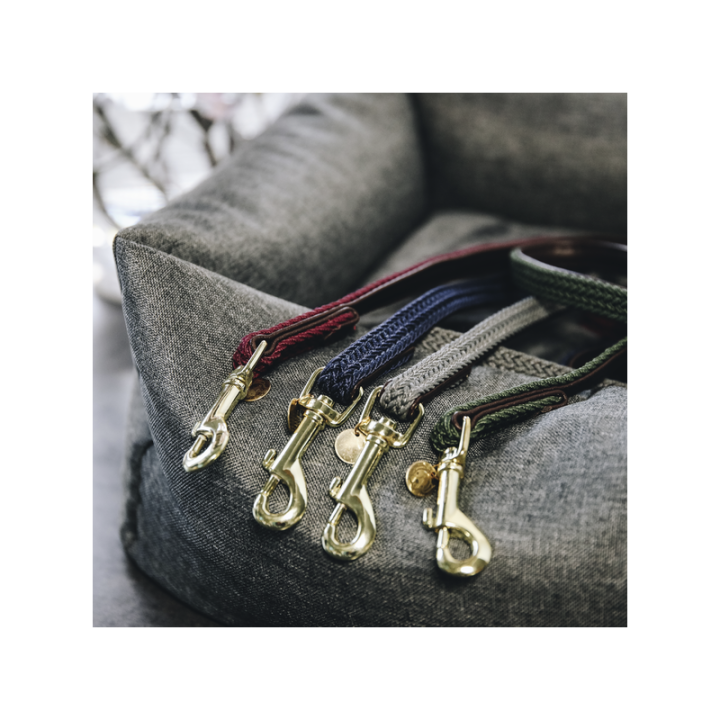 Laisse nylon tresse 1.2m