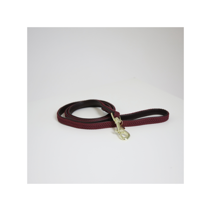 Laisse nylon tresse 1.2m