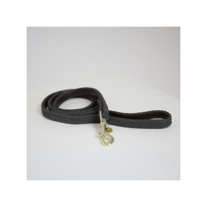 Laisse nylon tresse 1.2m