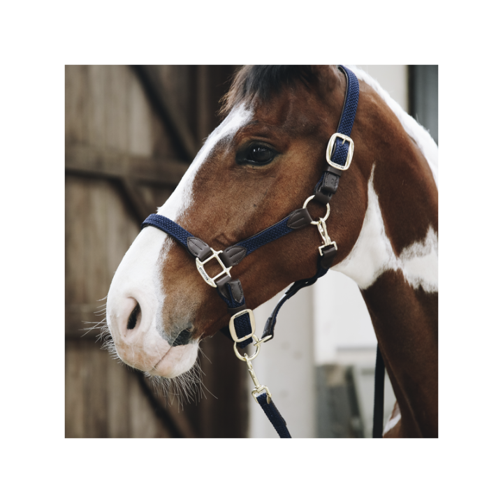 Longe nylon tresse 2m