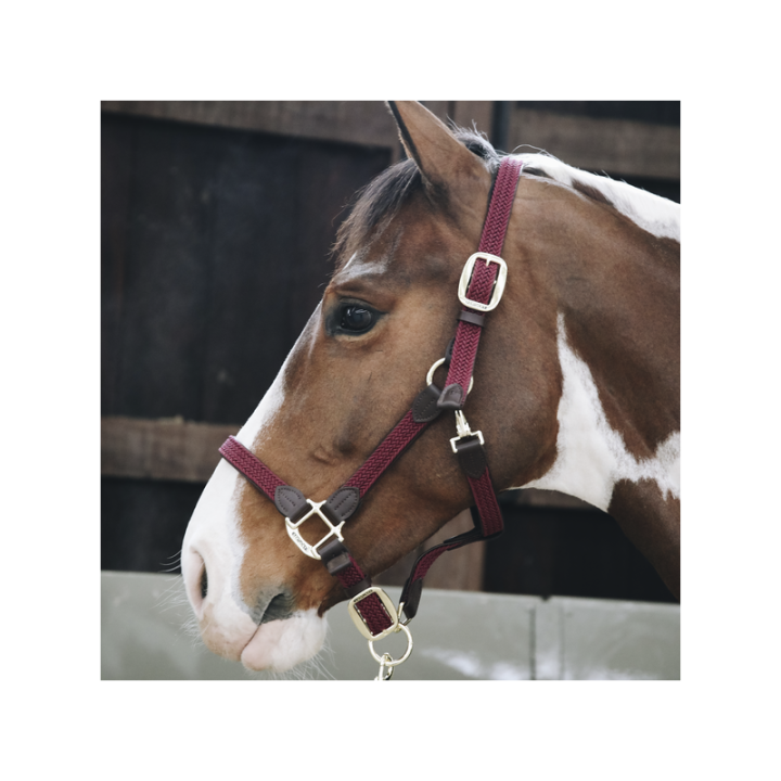 Longe nylon tresse 2m