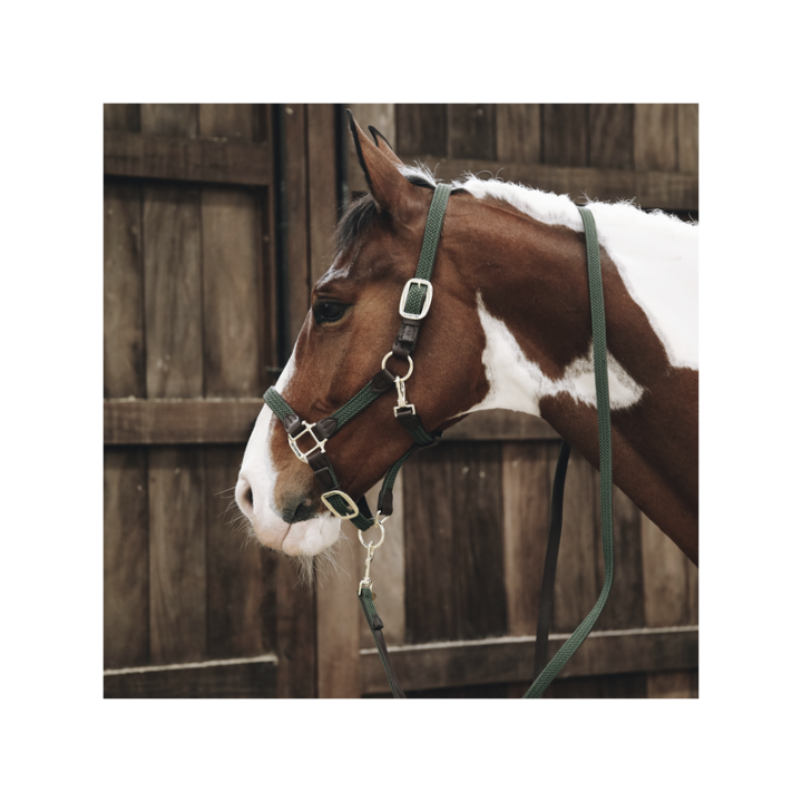 Longe nylon tresse 2m