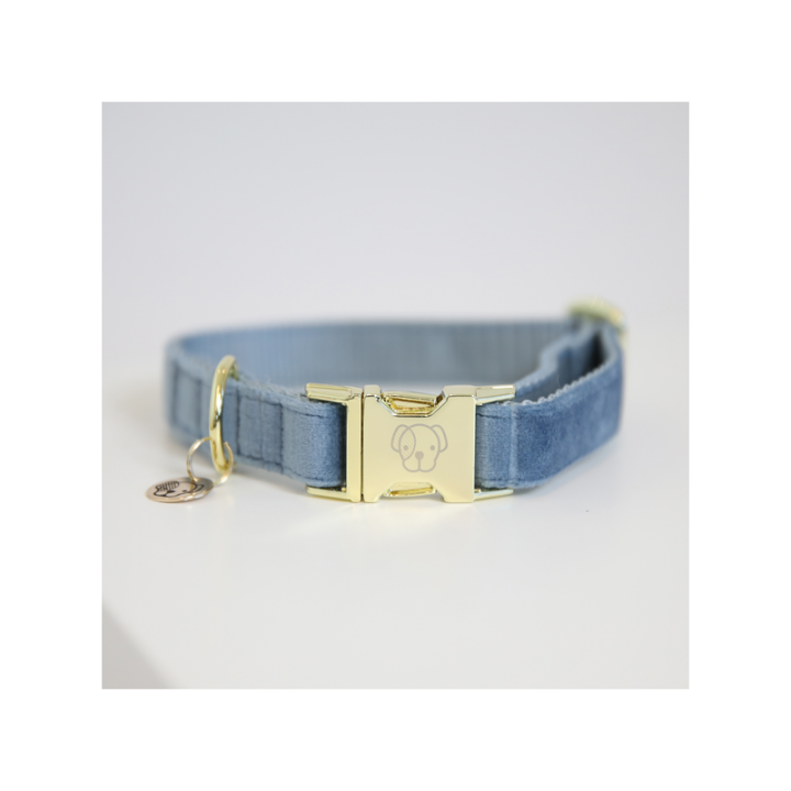 Collier pour chien velvet kentucky