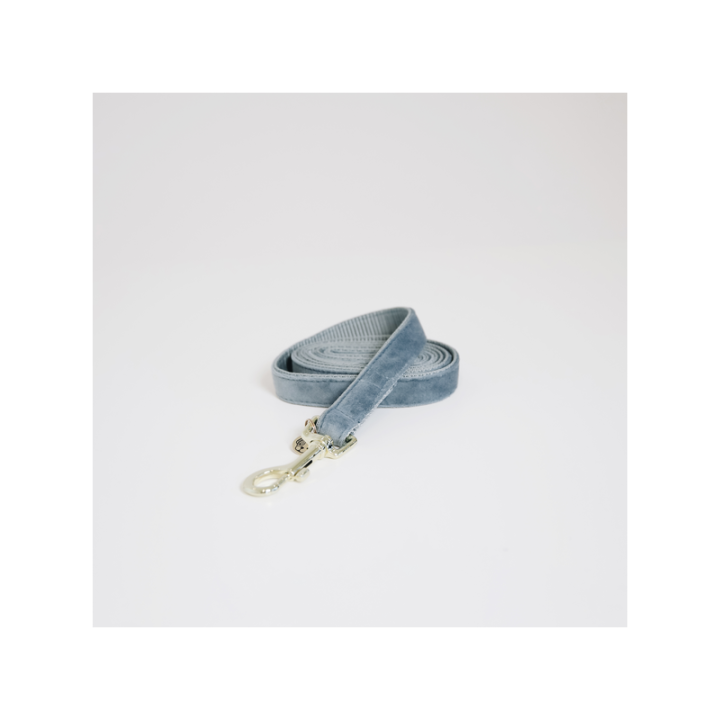 Laisse pour chien velvet 120cm