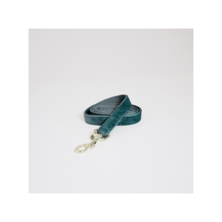 Laisse pour chien velvet 120cm