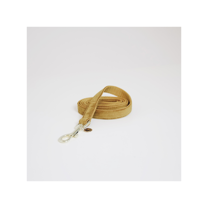 Laisse pour chien velvet 120cm