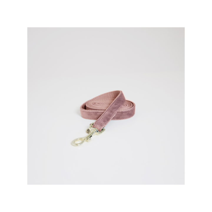 Laisse pour chien velvet 120cm