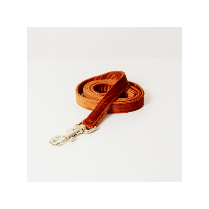 Laisse pour chien velvet 120cm