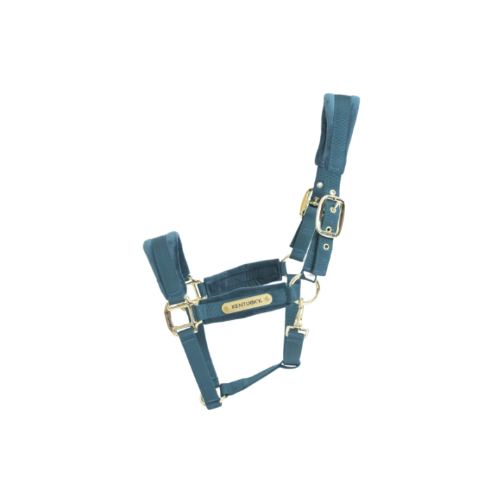 Licol velvet kentucky