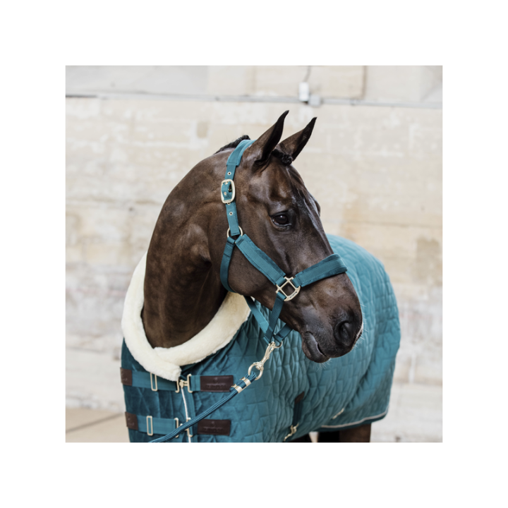 Licol velvet kentucky