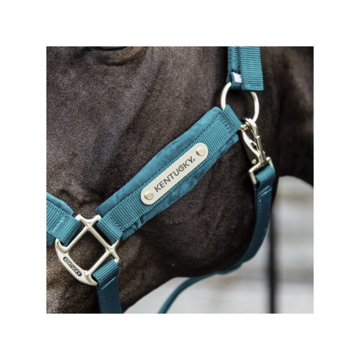 Licol velvet kentucky