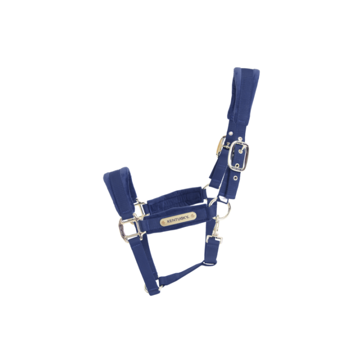 Licol velvet kentucky